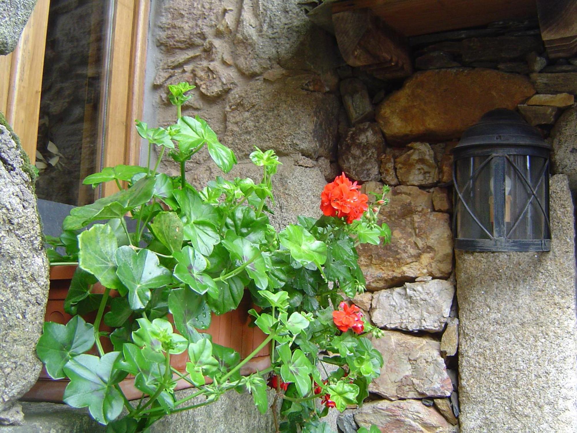 Pensjonat Casa Do Pinto Arouca Zewnętrze zdjęcie
