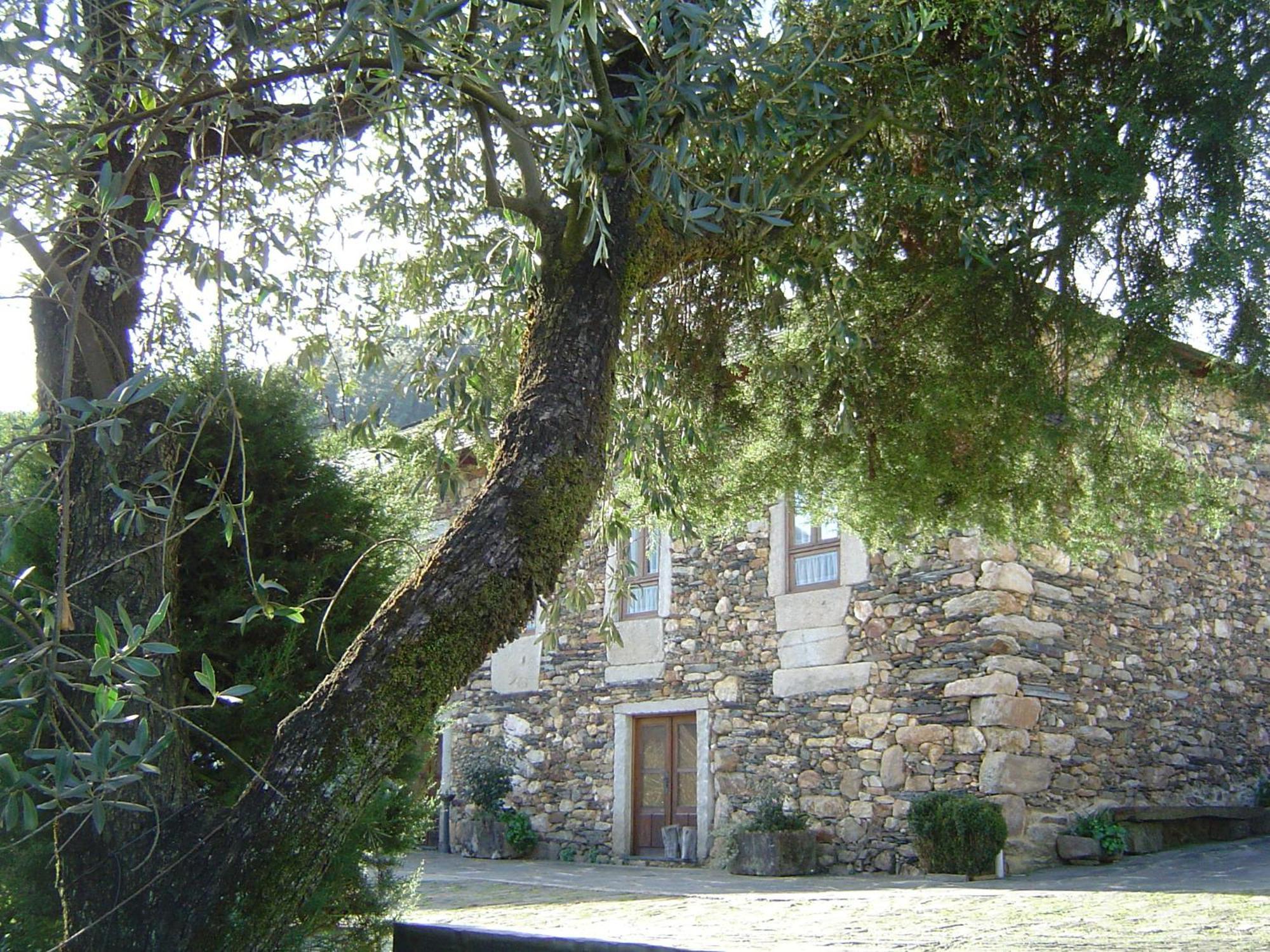 Pensjonat Casa Do Pinto Arouca Zewnętrze zdjęcie